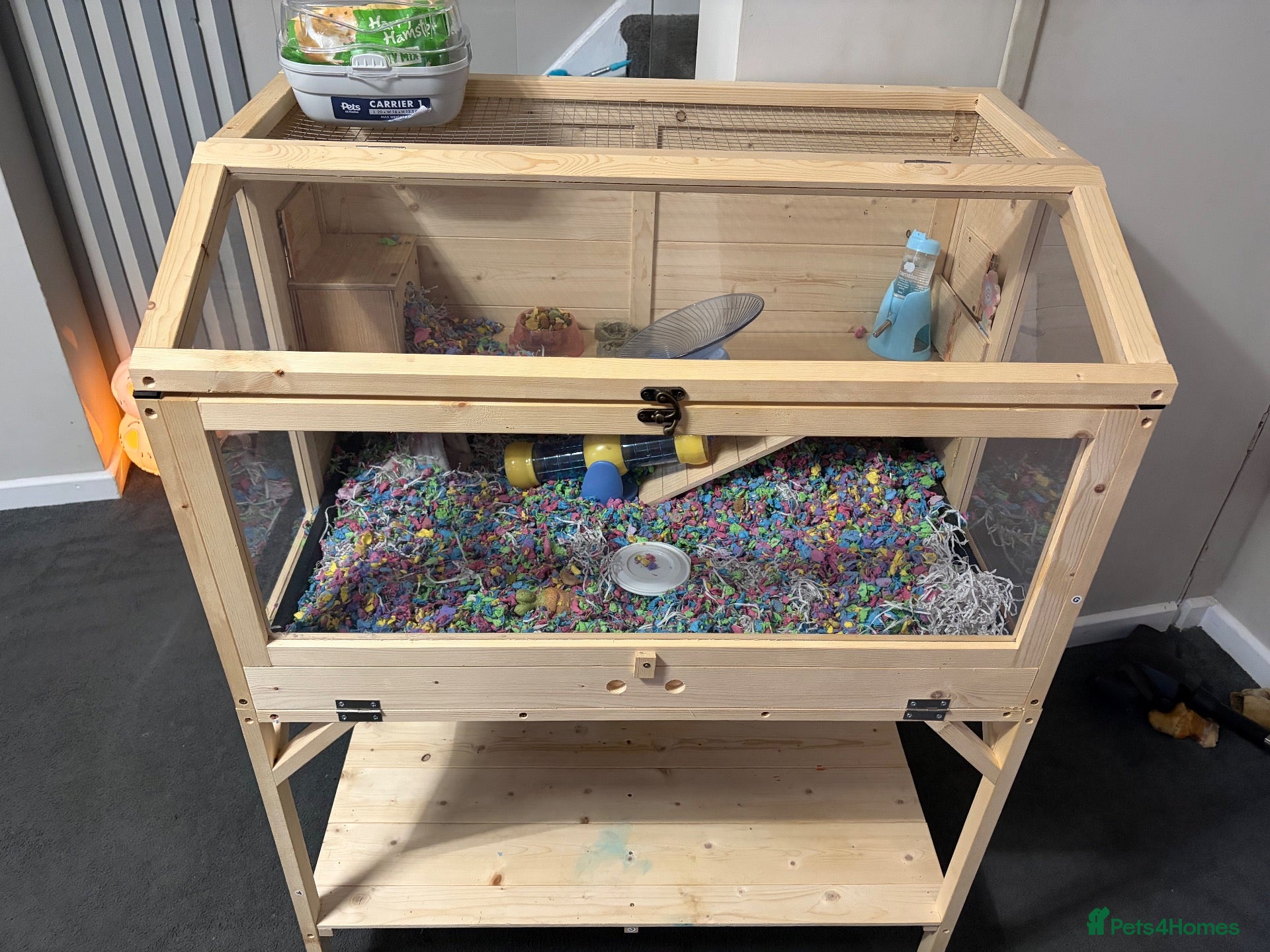 Hamster rodents hamster for sale (teddy bear)🐻 with cage  - Advert 4