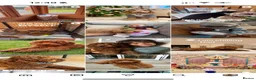 Cavapoo dogs for sale: Extensively Health Tested Cavapoo Puppies🏆 - Advert 10