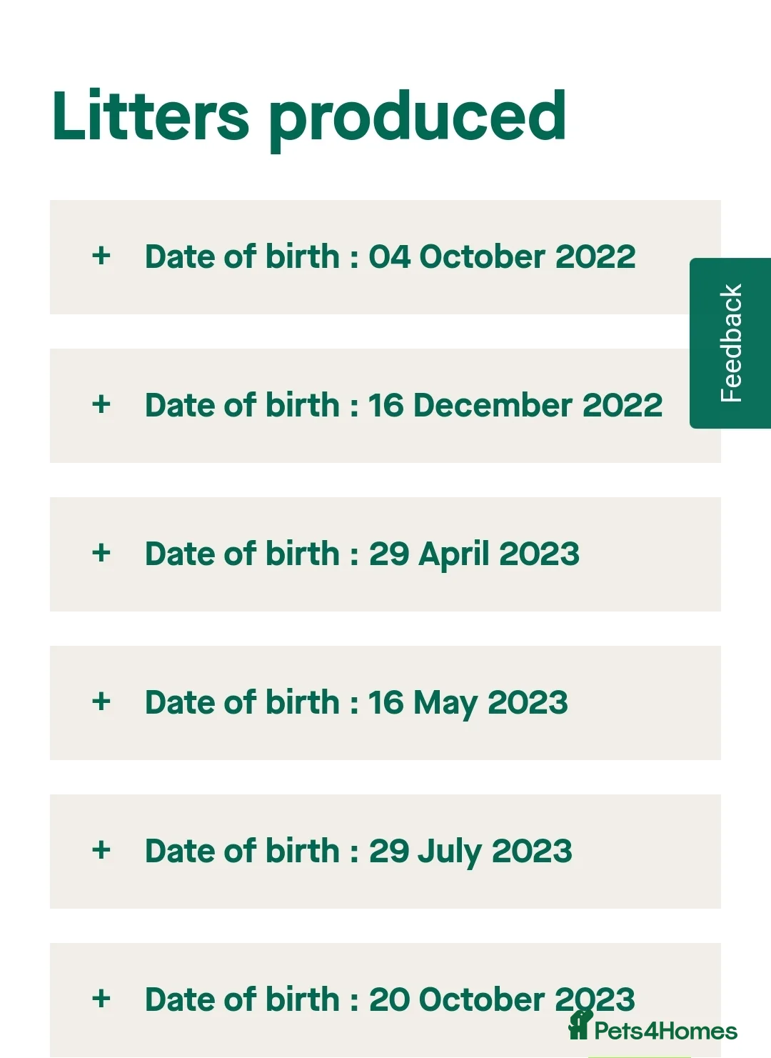 Labrador Retriever dogs for stud: Stunning Labrador, Champion Lines, Discounted Fee in Huddersfield - Advert 26