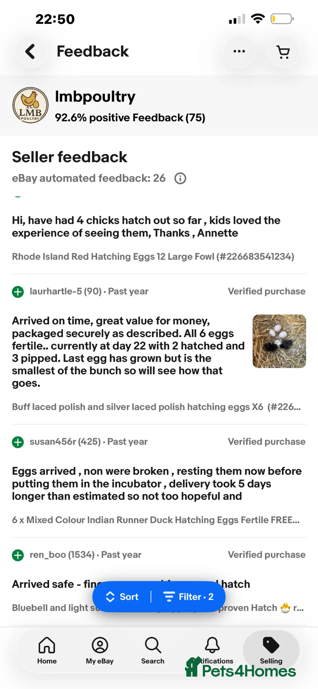 Chickens poultry for sale: Pure Breed & Mixed Poultry Eggs Available - Advert 9