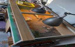 Tortoise reptiles for sale: Complete tortoise setup with 3 sulcutas - Image 1