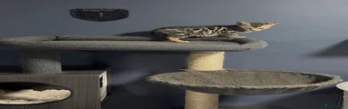 Bengal 1 silver 