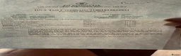 Cocker Spaniel dogs for stud: Cocker Spaniel Stud - KC, Health Tested - Advert 2