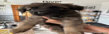 River