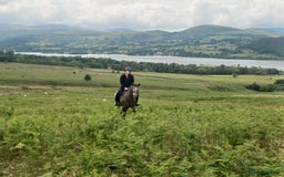 Appaloosa horses for sale: Fantastic allround pony  - Advert 3