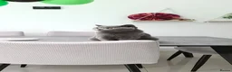 British Shorthair cats for sale: Sim Sim - British Shorthair in West Byfleet - Advert 3
