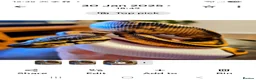 Python Snake reptiles for sale: FEMALE PIED 100% Het ALBINO 50% het CLOWN - Advert 5