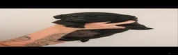 Labrador Retriever dogs for sale: Gorgeous kc registered Labrador puppies - Advert 5