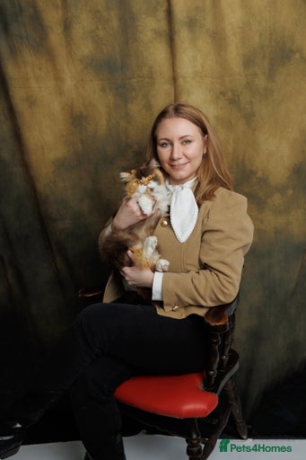 Gallery Image {{count}}