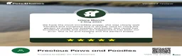 Dachshund dogs for sale: KC miniature smooth haired DNA tested dachshunds  - Advert 19