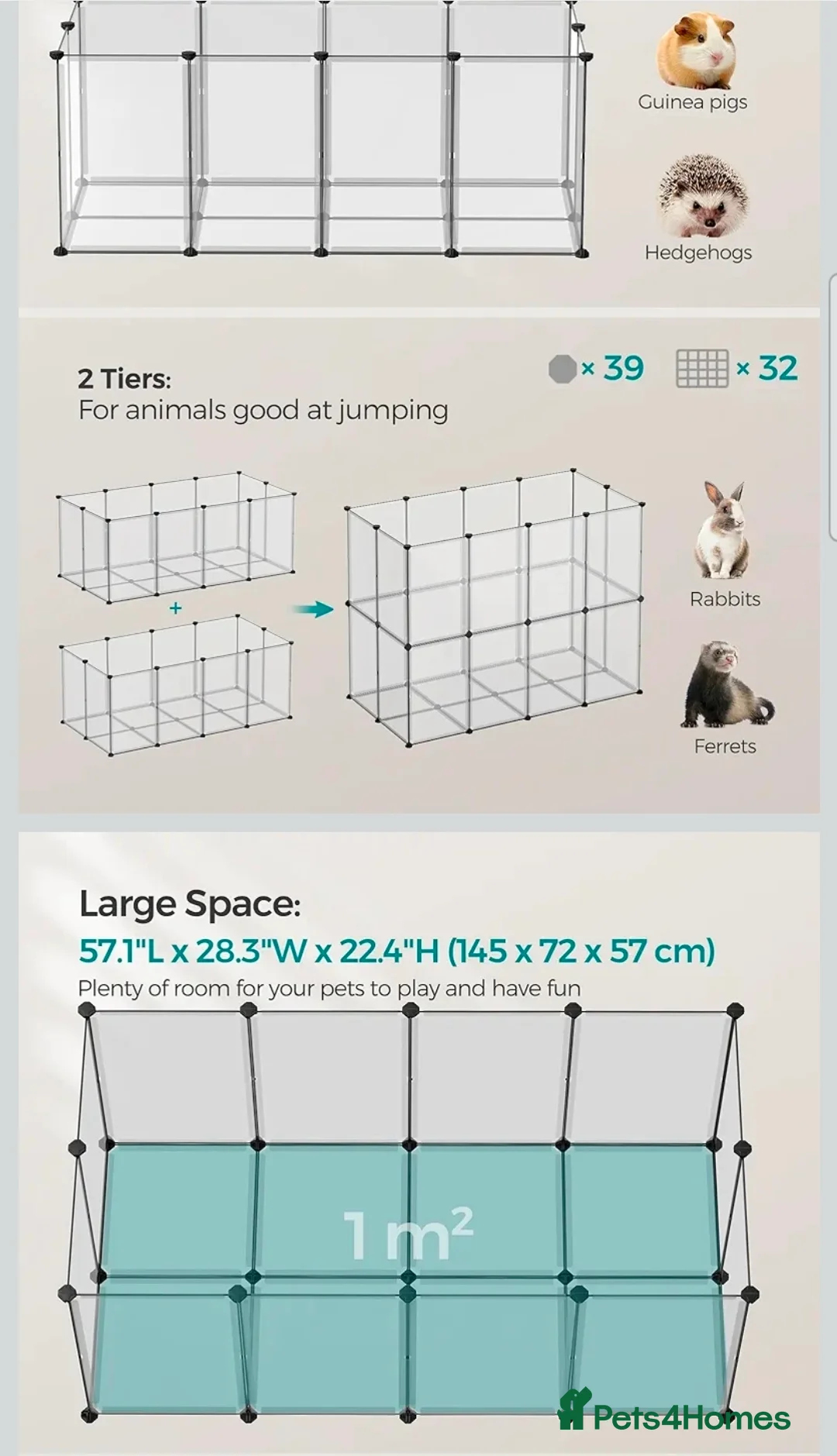 Hamster rodents for sale: Hamster items for sale - Advert 3