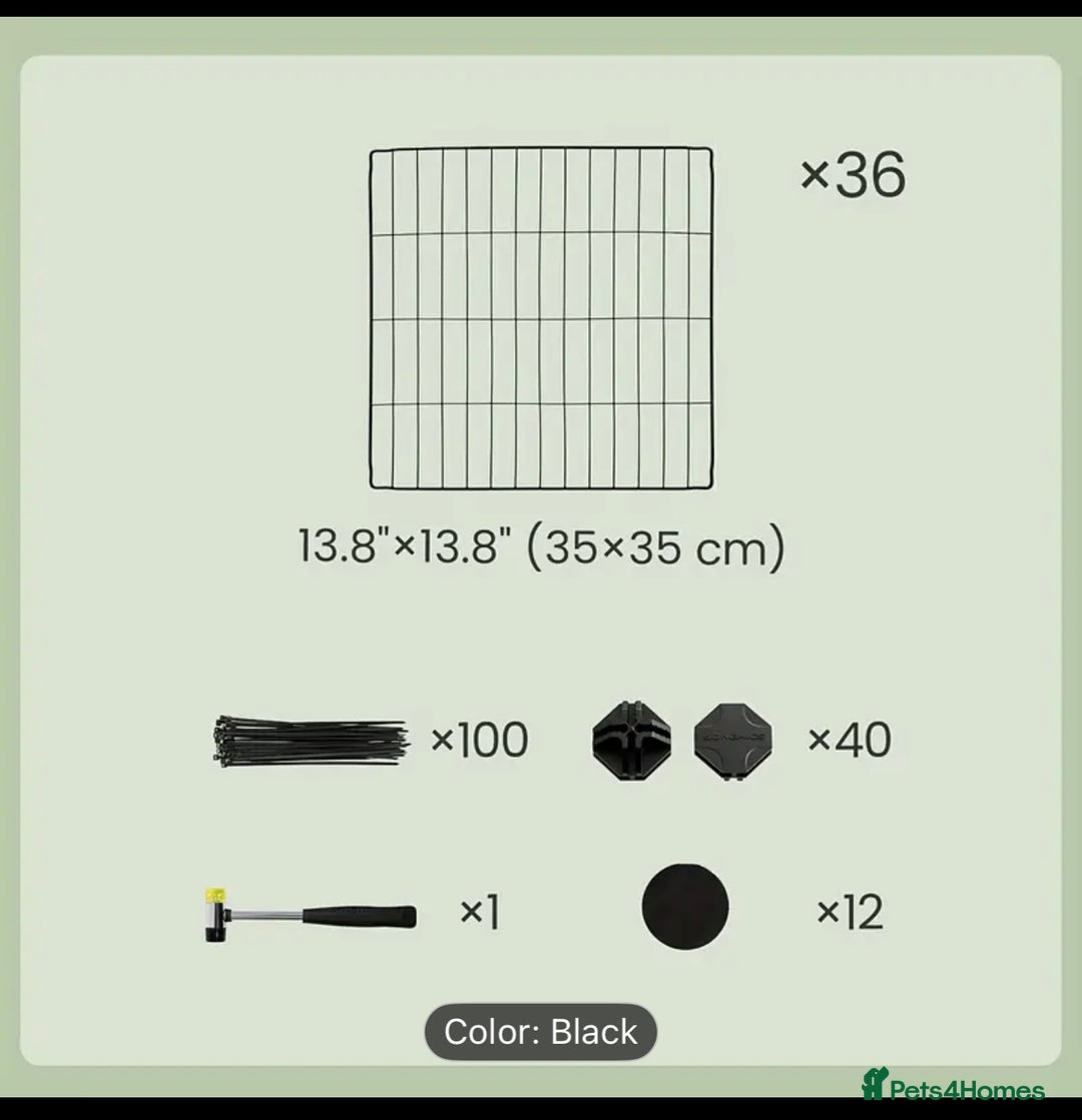 Guinea Pig rodents for sale: Two male guinea pigs with cage and accessories  - Advert 5