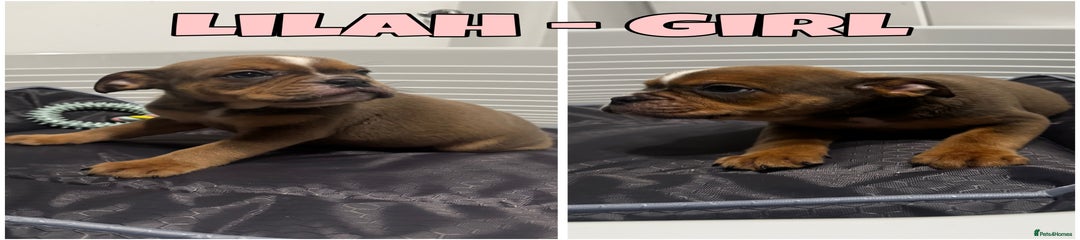 Lilah