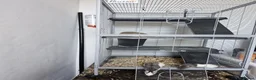 Rat rodents for sale: 2x female rats and cage - Advert 2