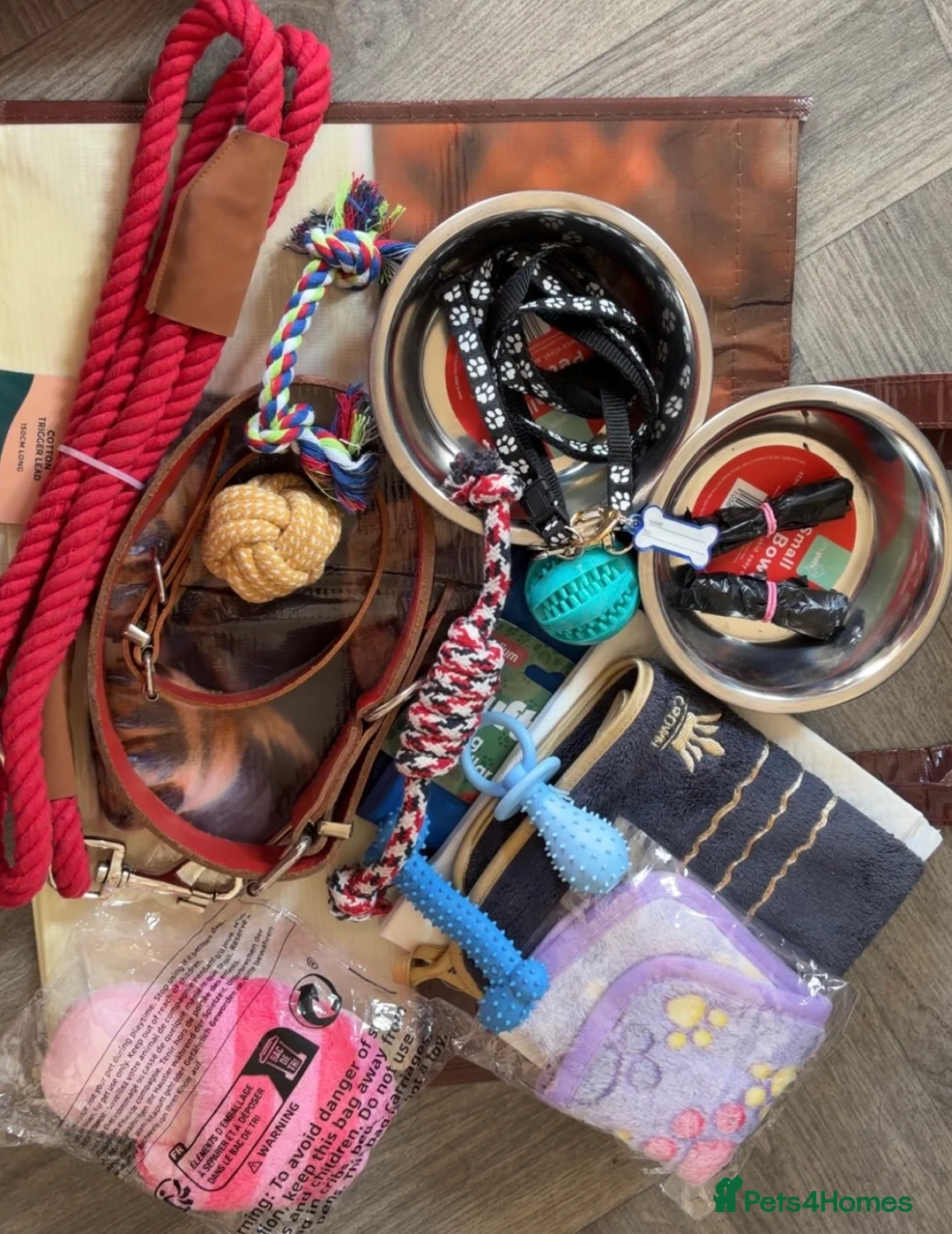 Rottweiler dogs for sale: Rottweilers puppy’s  - Advert 2