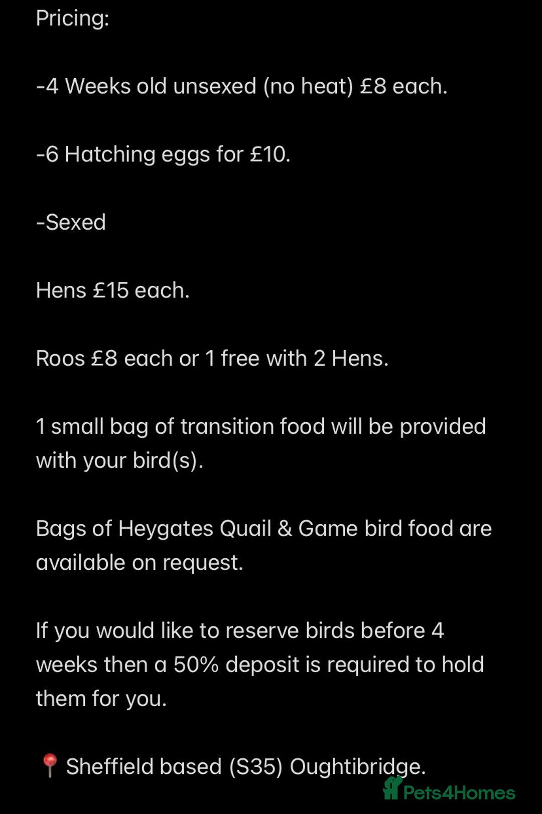 Quail poultry for sale: Beautiful Button Quail Chicks (CPQ, King) - Image 15