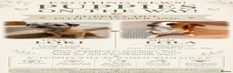 Mixed Breed dogs for sale: Border terrier X Patterdale terrier *Puppies due* - Advert 1