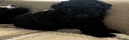 Toy Poodle dogs for sale: Beautiful Toy Poodle Puppies All Girls For Sale - Advert 12