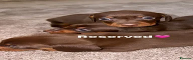 Reserved 