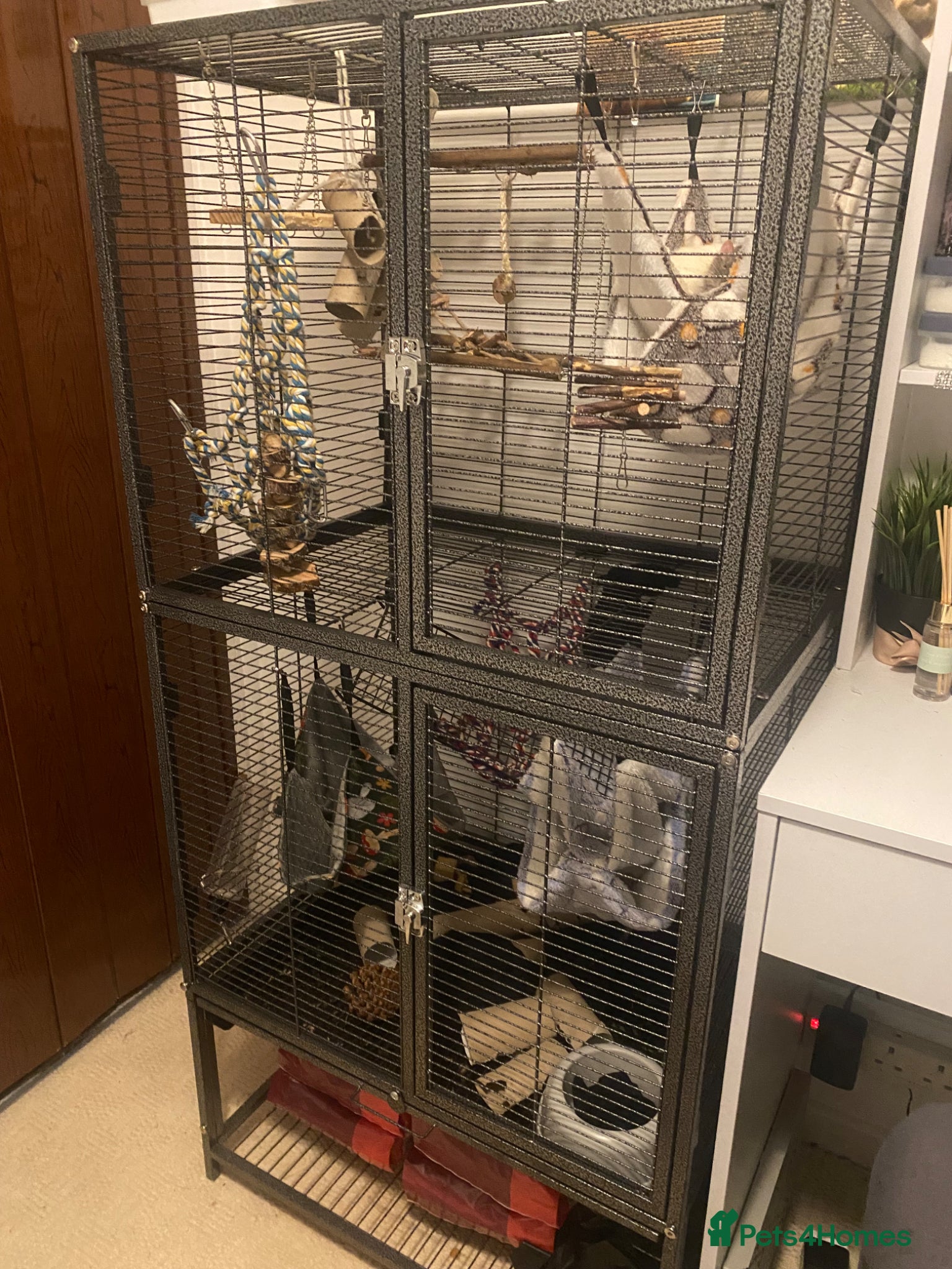 Rat rodents 2 Rats and Cage for Sale - Advert 6