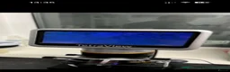 Staffordshire Bull Terrier dogs for stud: Bluey’s Dream Stud dog.  - Advert 13