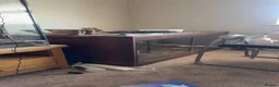 Lizard reptiles for sale: Female tegu  - Advert 5