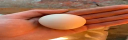 Chickens poultry for sale: Chicken hatching eggs  - Advert 3