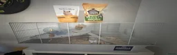 Hamster rodents for sale: Female hamster, cage and accessories  - Advert 1