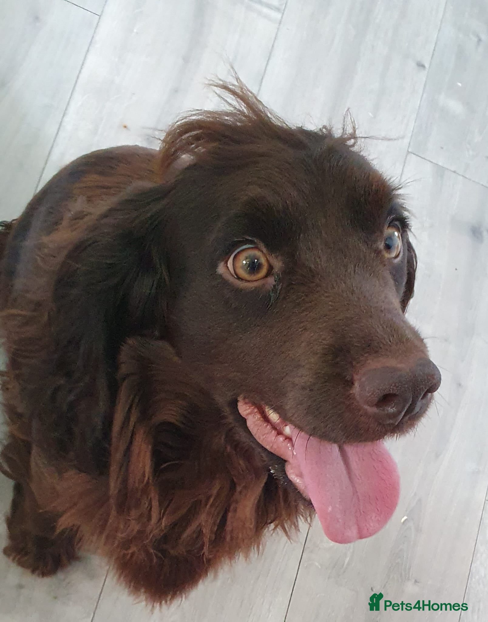 Charlie