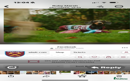 Miniature Dachshund dogs for sale: Miniature Daschund KC. PRA-OI-CRD-PRA-NCL - Image 38