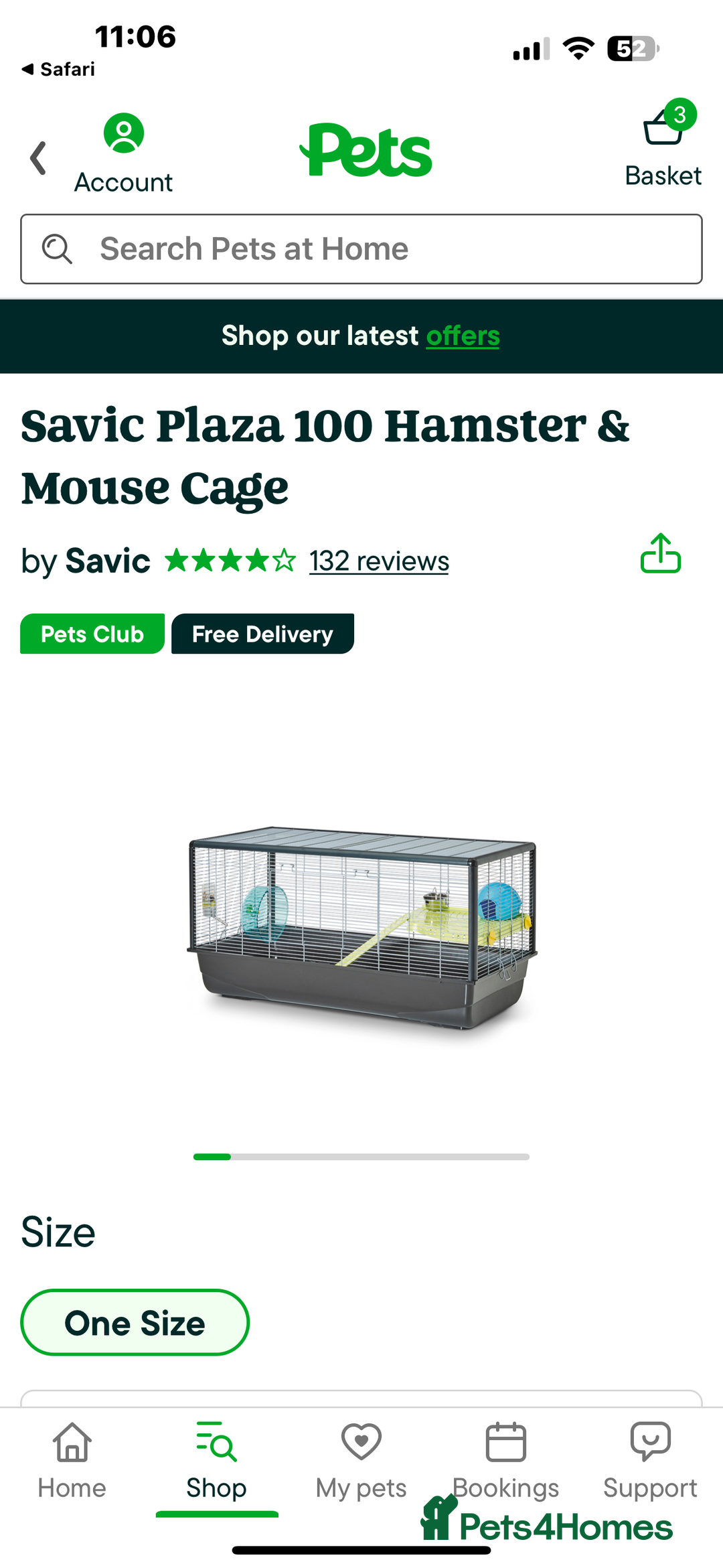Hamster rodents for sale: Hamster needing loving home  - Image 2