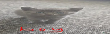 Bengal 4