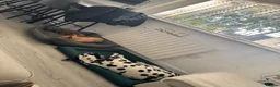Dalmatian dogs for sale: Boss 4yr old dalmation in Waterlooville - Advert 10