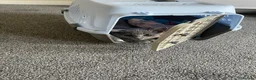Russian Blue cats for sale: Russian Blue Boy 13 weeks old in Crowborough - Advert 4
