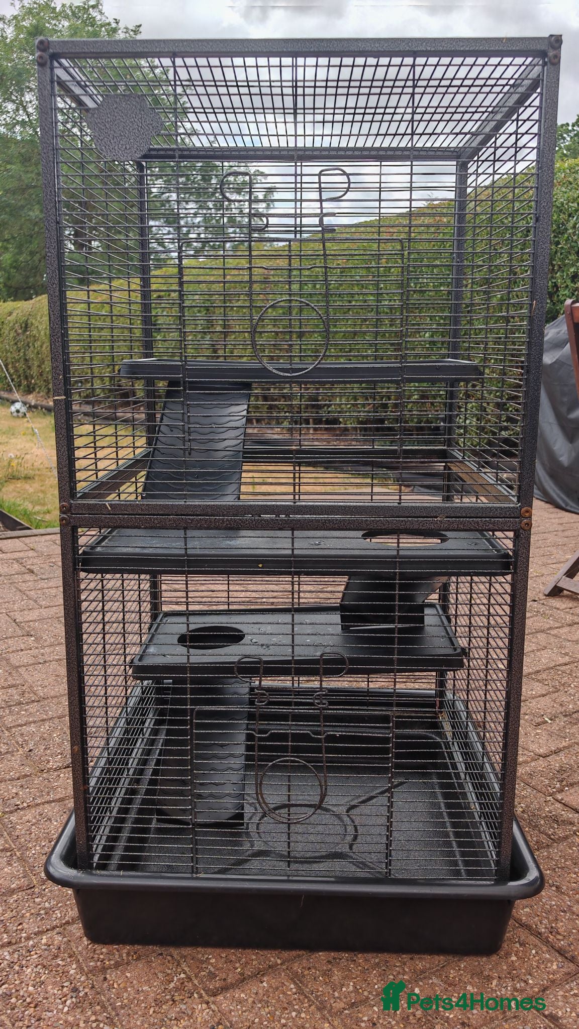 Rat rodents Rat cage £30 - Advert 13