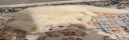 Turkish Angora cats for sale: ottis needs rehoming  in Oldham - Advert 2