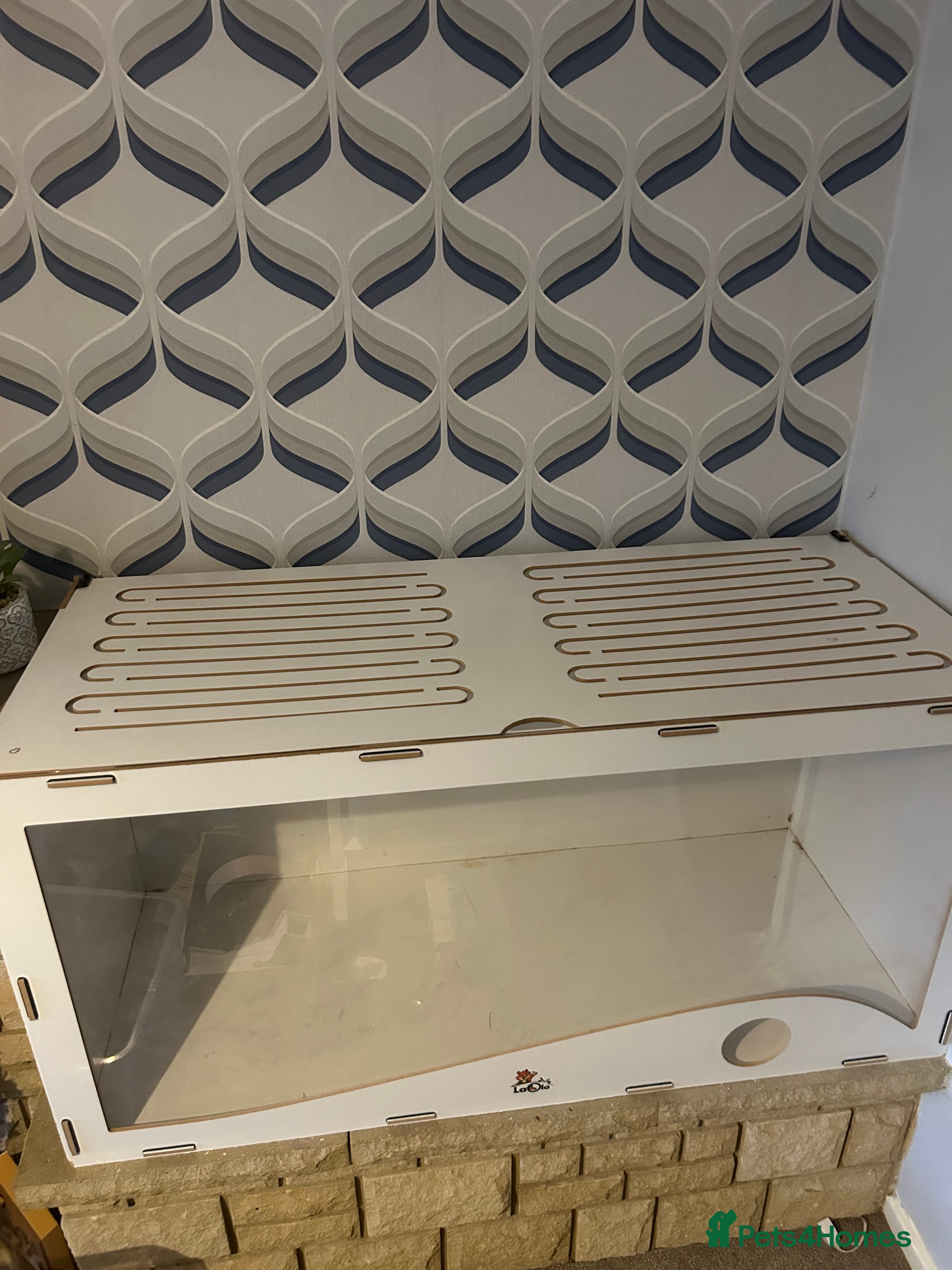 Hamster rodents Xxl hamster enclosure  - Advert 1