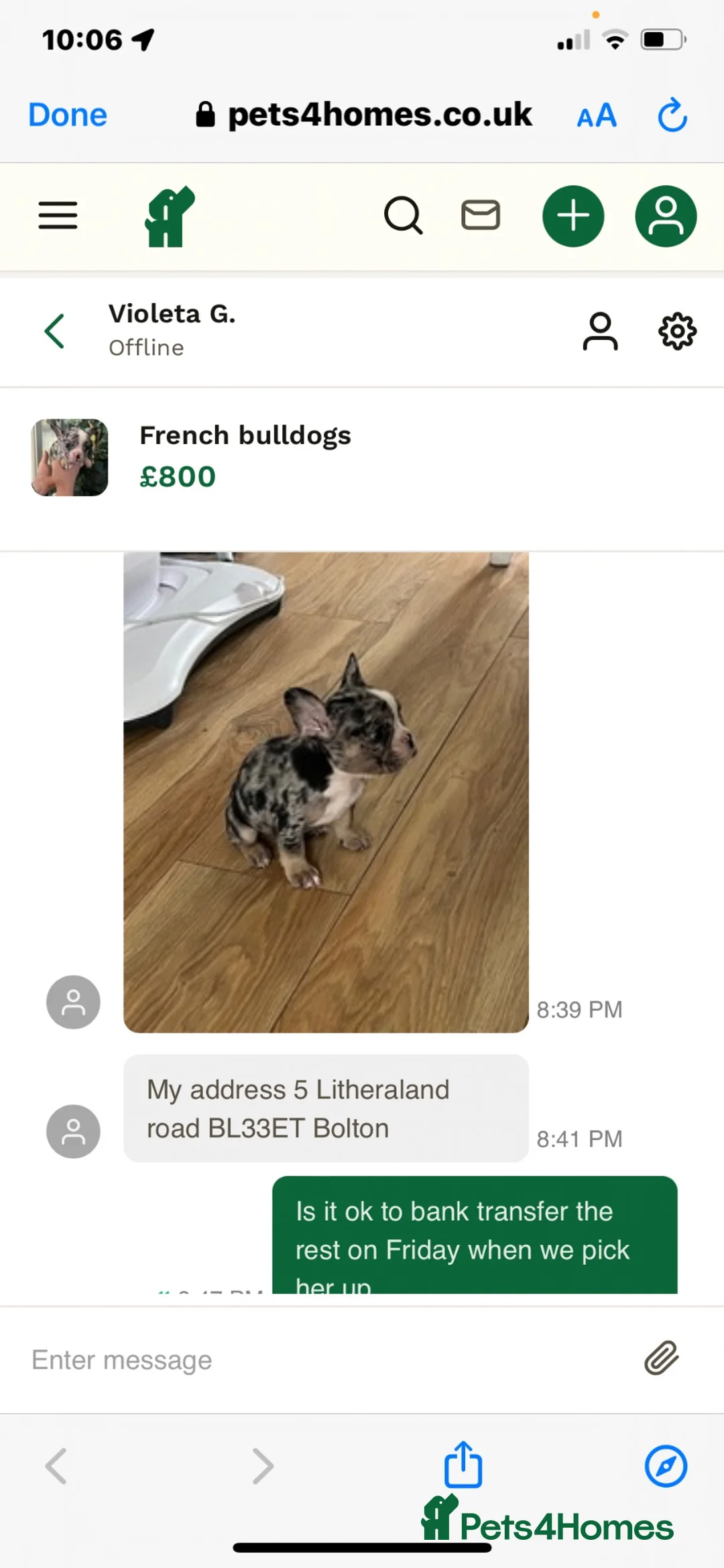French Bulldog dogs for sale: For rehome french bulldog  - Advert 7