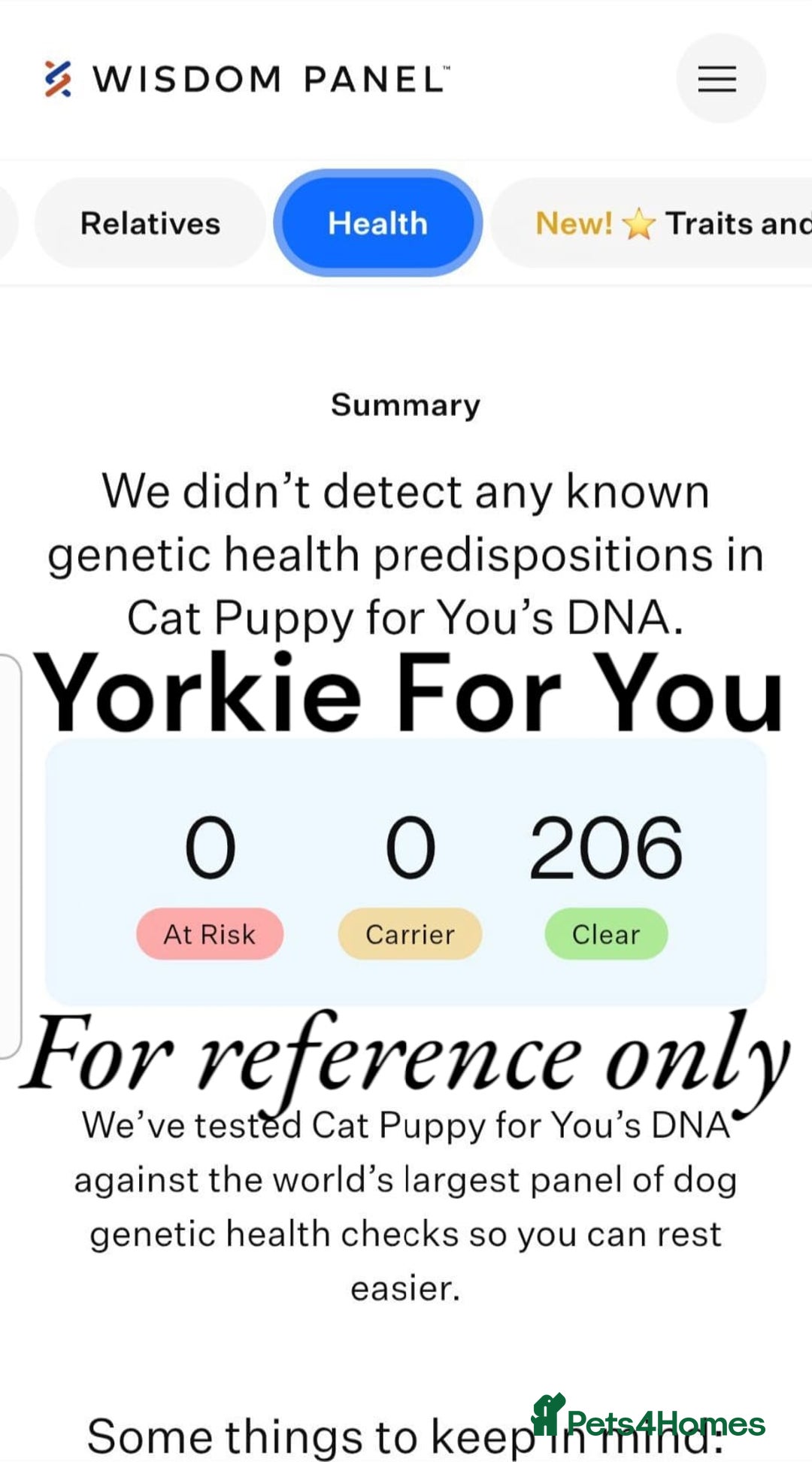 Yorkshire Terrier dogs for sale: 🤎 DNA tested parents 🤎 1 girl, 1 boy - Advert 22