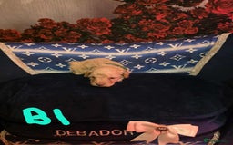 Miniature Poodle dogs for sale: Miniture poodle babies  - Advert 5