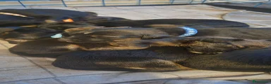 Sprocker 2