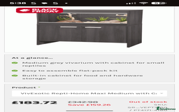 Corn Snake reptiles for sale: Male Corn Snake 2 Years - Image 19