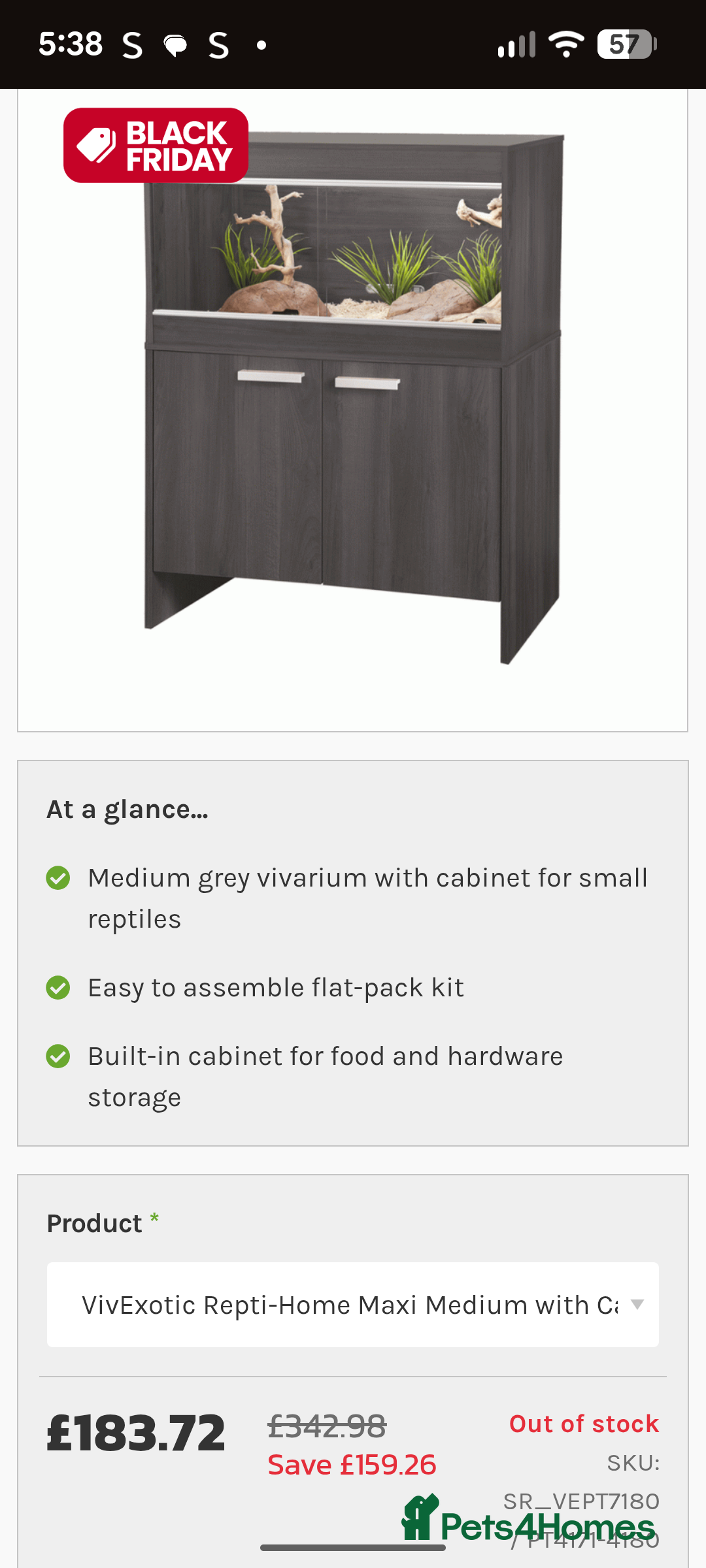 Corn Snake reptiles for sale: Male Corn Snake 2 Years - Image 19