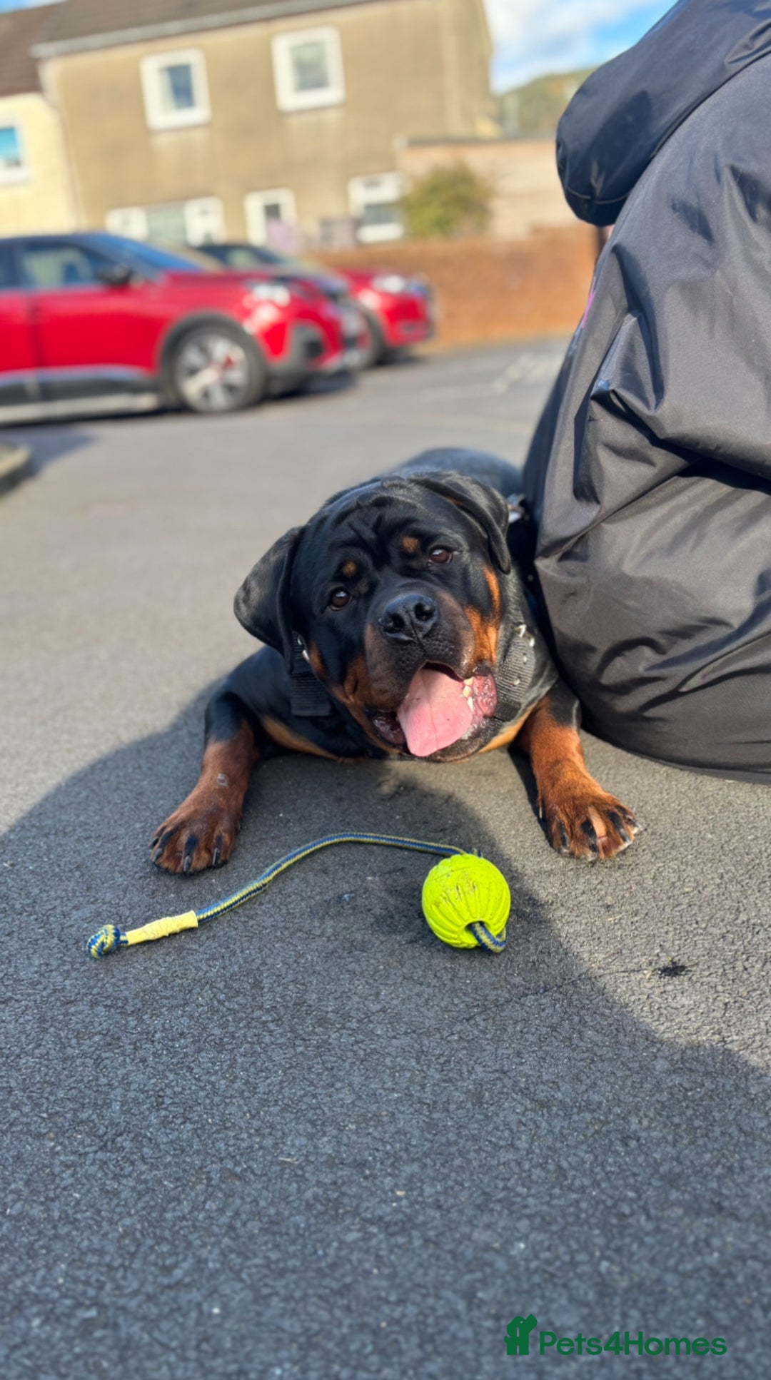 Gallery Image {{count}}