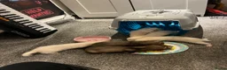 Ferret rodents for sale: Selling baby ferrets  in Kidderminster - Advert 1