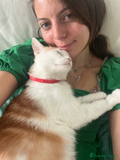 Gallery Image {{count}}