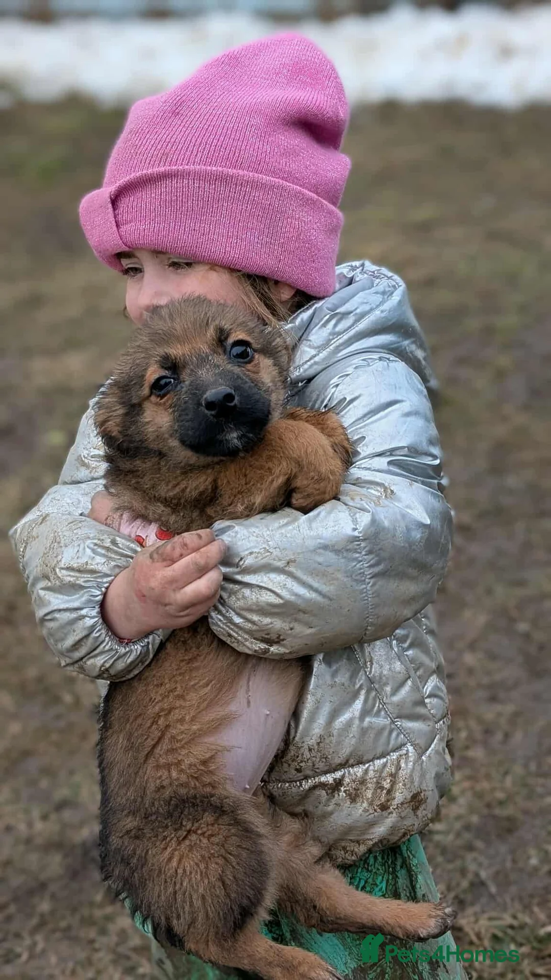 Mixed Breed dogs for adoption: Bubbles for adoption in Macclesfield - Advert 9