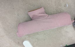 Mini Lop rabbits for sale: Mini Lop for a good home 🥰 - Image 32