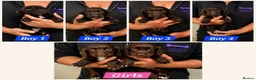 Sprocker dogs for sale: Beautiful Sprocker Spaniel Puppies - Advert 1