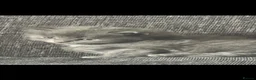 Persian cats for sale: Ragdol x Persian  - Advert 5